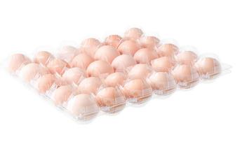 What to Consider When Choosing Disposable Plastic Egg Trays