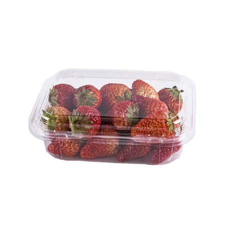 https://www.lesuipackaging.com/uploads/image/20221025/16/disposable-fruit-containers.jpg