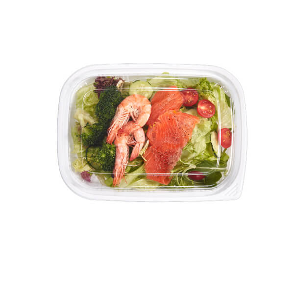Transparent Salad Box – Belnova Ltd – Shop