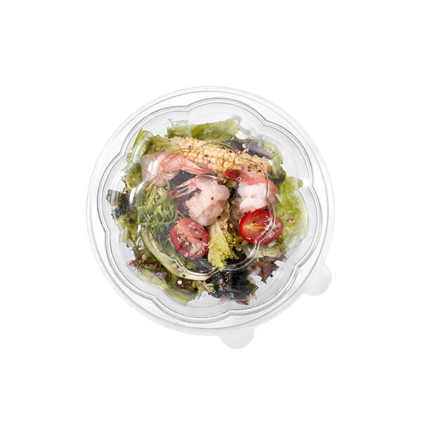 Wholesale Disposable Plastic Salad Container Supplier & Factory