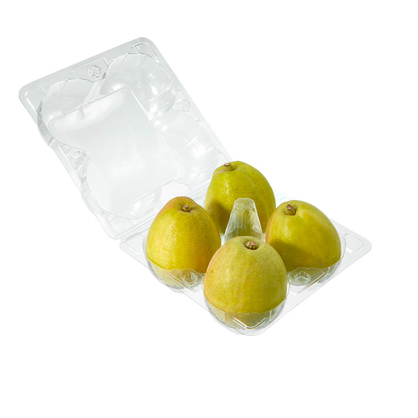 Wholesale Disposable Fruit Containers Supplier & Factory - Lesui